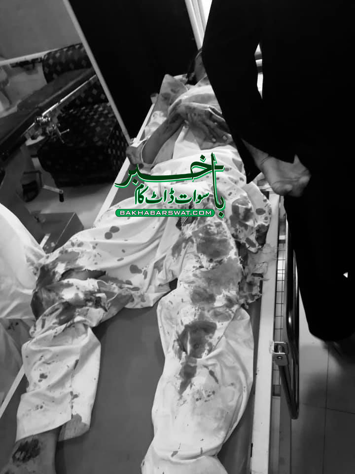 مینگورہ بائی پاس، تیز رفتار موٹر کار نے سیاحوں کو ٹکر مار دی