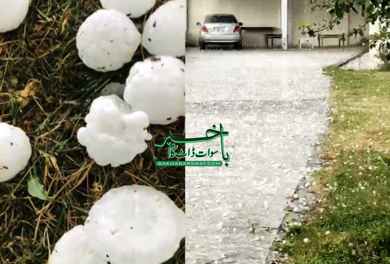 سوات، شدید ژالہ باری سے باغات تباہ، 7 ارب سے زائد کا نقصان