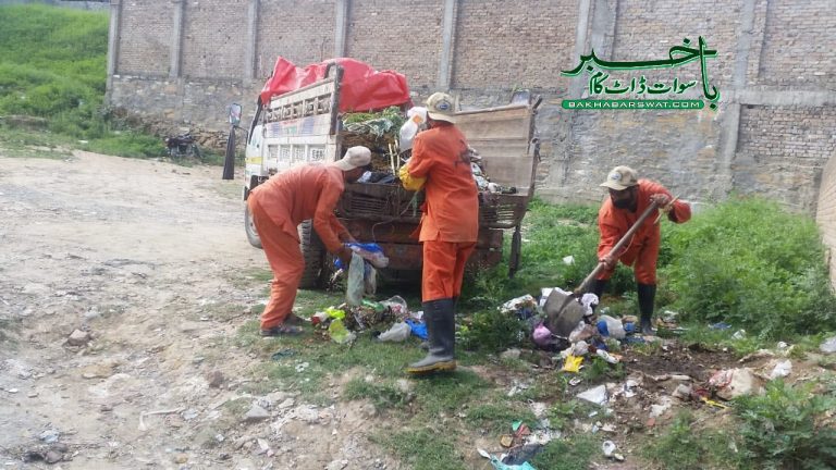 مینگورہ، چوہوں کی بہتات، واسا اہلکاروں کو اوور ٹائم دے دیا گیا