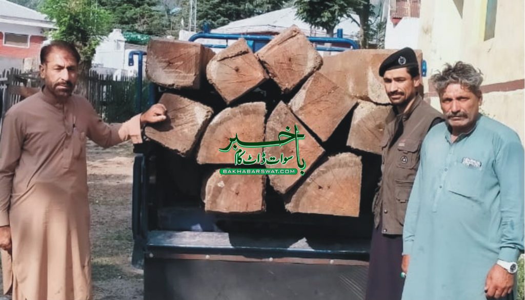 کالام،آدھی رات کو قیمتی لکڑی کی سمگلنگ ناکام بنا دی گئی، سمگلرگرفتار