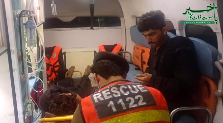 شنگردار،تیز رفتار موٹر کار ریوڑ پر چڑھ دوڑی،کئی بھیڑ بکریاں ہلاک اور زخمی