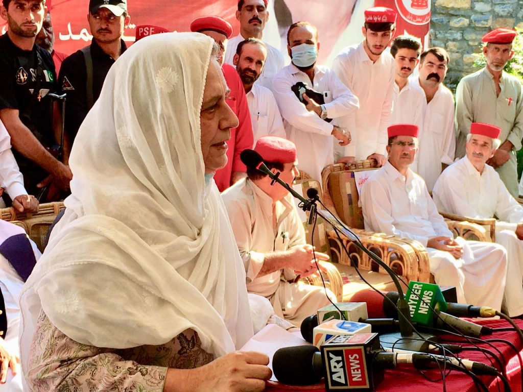 طالبان سے پورے خطہ کو خطرہ لاحق ہے، ایمل ولی خان