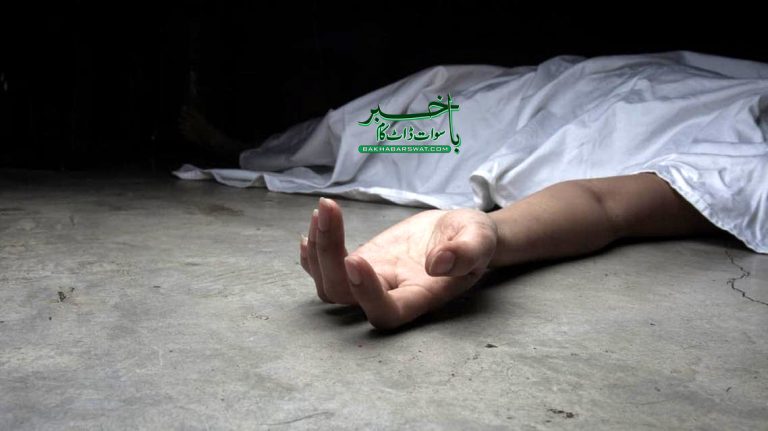 گبین جبہ، لکڑیاں کاٹنے والا شخص پہاڑ سے گر کر جاں بحق