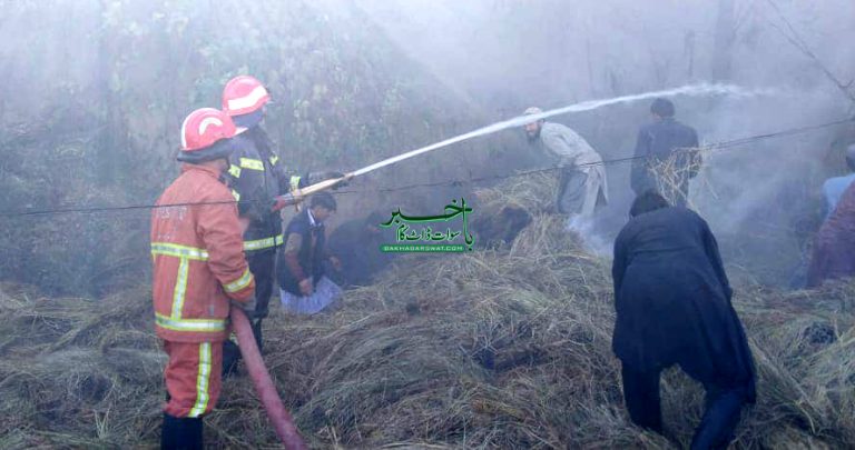 سوات مختلف حادثات، ایک شخص جاں بحق،دو بھینسیں ہلاک، پانچ افراد زخمی