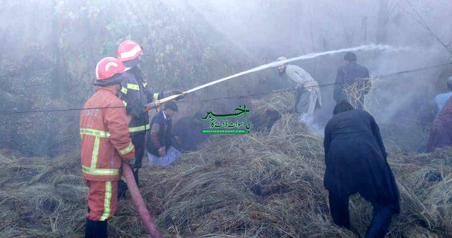 سوات مختلف حادثات، ایک شخص جاں بحق،دو بھینسیں ہلاک، پانچ افراد زخمی