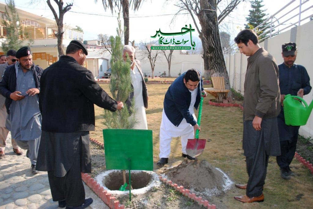 سوات، موسمِ سرما کی شجر کاری کا جائزہ لینے کیلئے ڈی سی آفس میں اجلاس منعقد