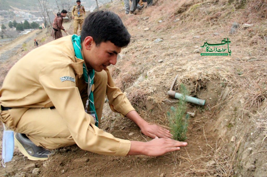 سوات، طلبہ نے موسمِ بہار کی شجرکاری مہم کا آغاز کردیا
