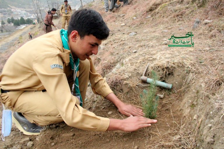 سوات، طلبہ نے موسمِ بہار کی شجرکاری مہم کا آغاز کردیا