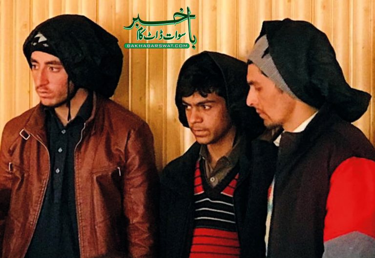 کوہستان میں پسند کی شادی کرنے والے جوڑے کے قاتل گرفتار