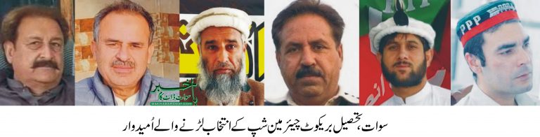 تحصیل بریکوٹ چیئرمین شپ، 11 امیدواروں میں ٹھن گئی