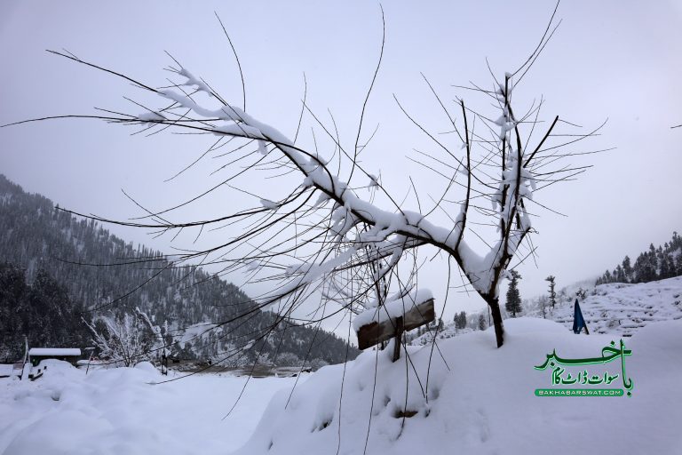 سوات، بارش و برف باری کا نیا سلسلہ شروع