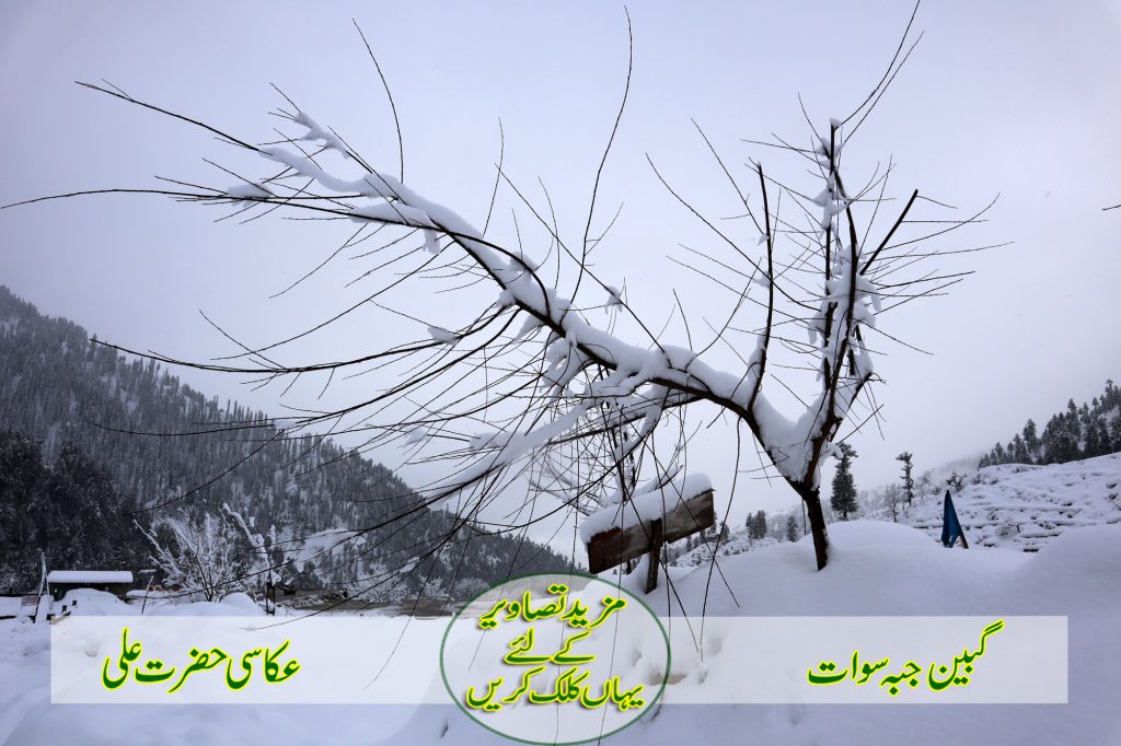 گبین جبہ سوات عکاسی حضرت علی