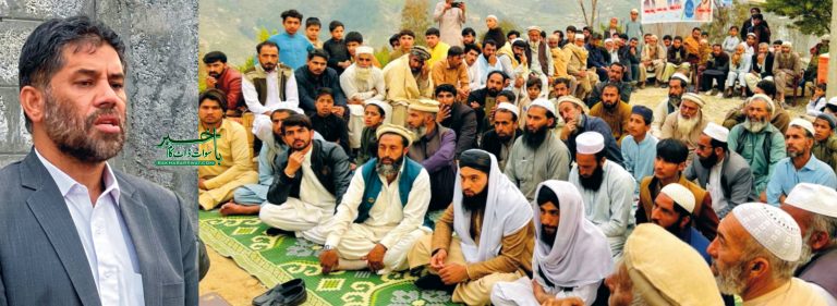 منتخب ہوکر زراعت پر خصوصی توجہ دیں گے، محمد امین