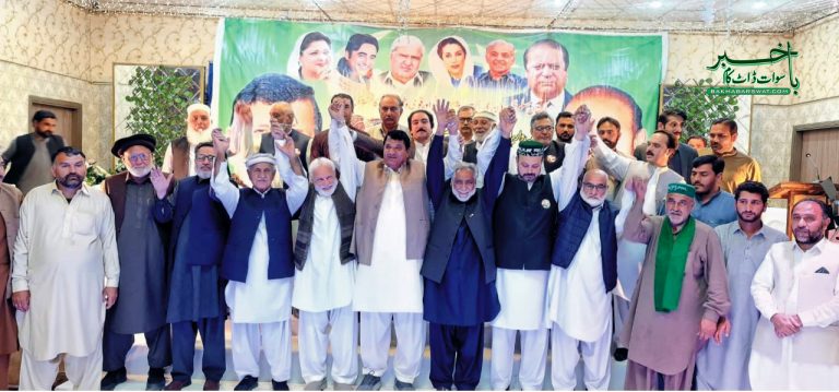 15 دن بعد عمران وزیراعظم نہیں رہے گا، امیر مقام
