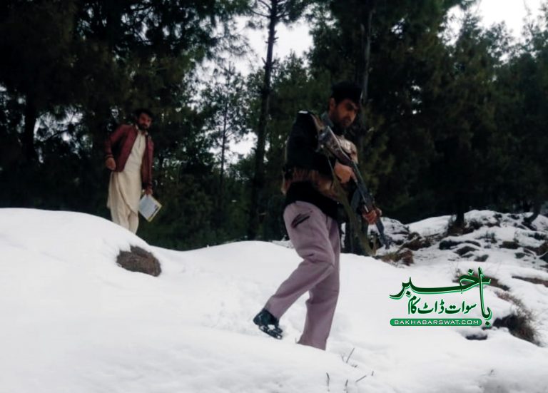 سوات، پنج روزہ انسدادِ پولیو مہم کا آغاز کر دیا گیا