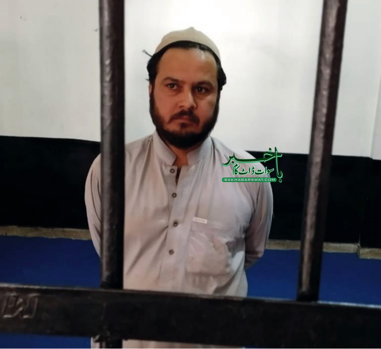 مینگورہ، بلین ٹری سونامی میں لگائے گئے قیمتی درخت کاٹ دیے گئے