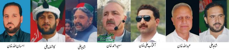 بلدیاتی انتخابات سوات، تحریک انصاف بھاری اکثریت سے کامیاب