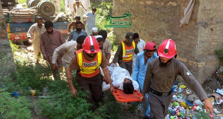 شین، پک اَپ کھائی میں گرگئی، خاتون جاں بحق، 5افراد زخمی