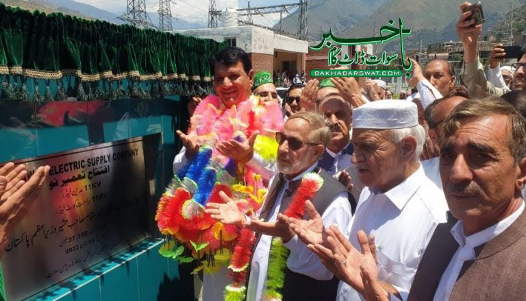 مہنگائی، عمران نیازی کے کیے گئے معاہدوں کا نتیجہ ہے، امیر مقام