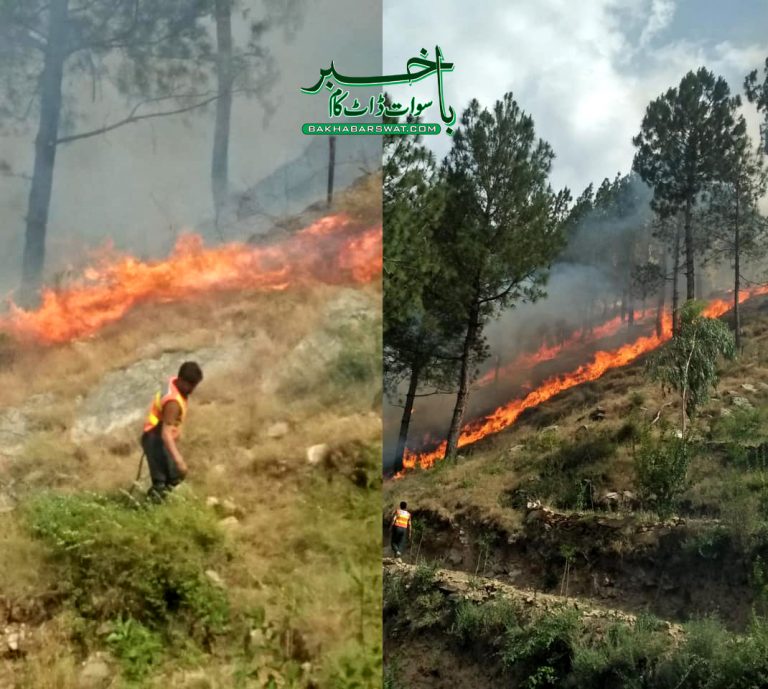 سوات، دس دن میں 61 پہاڑوں پر آگ لگی