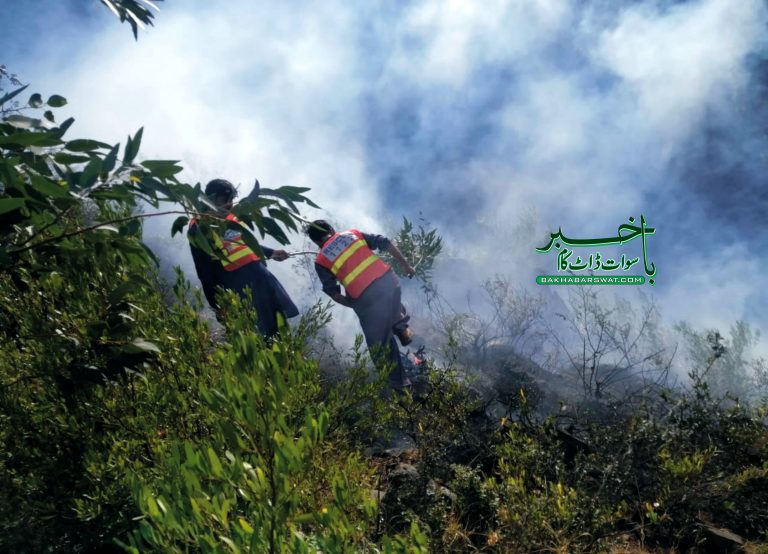 سوات، سولہویں روز بھی پہاڑوں میں آگ لگنے کا سلسلہ جاری