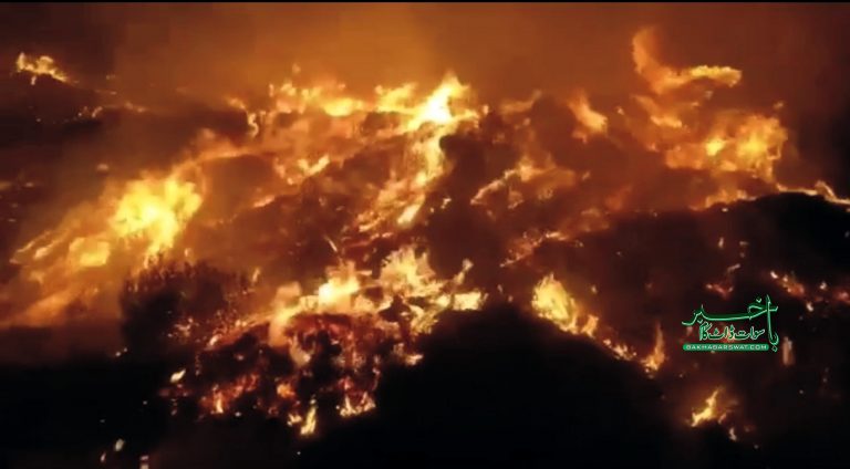 کبل دوکڈ، جنگلات میں آگ لگانے سے کئی درخت خاکستر