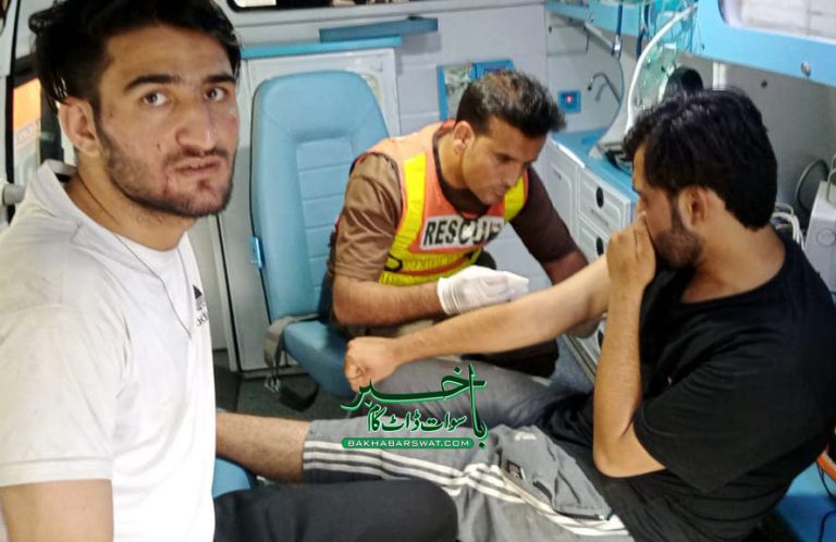سوات، مختلف ٹریفک حادثات،بچوں اور خواتین سمیت14 افراد زخمی