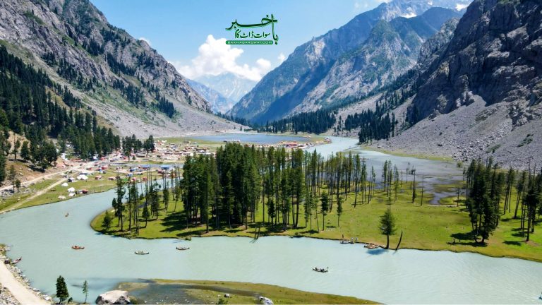 کالام مہوڈنڈ، محکمہ جنگلات کے اہلکاروں پر مشتعل گروہ کا حملہ