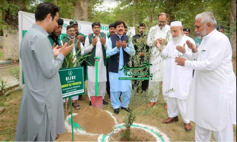 مون سون شجر کاری مہم کا باقاعدہ آغاز کردیا گیا