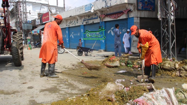 مینگورہ اور ملحقہ علاقوں سے 2 ہزار ٹن آلائشیں تلف کی گئیں، واسا