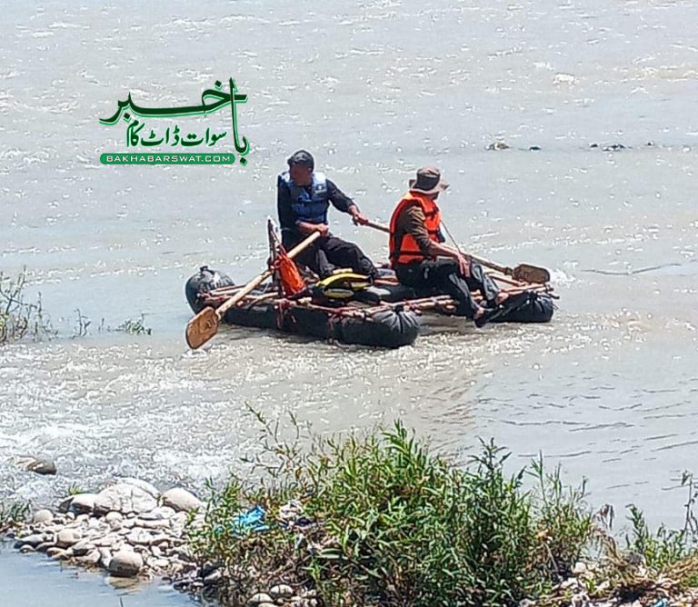 بحرین،چیئر لفٹ گرنے سے ماں اور کمسن بیٹی دریامیں گر کر جاں بحق