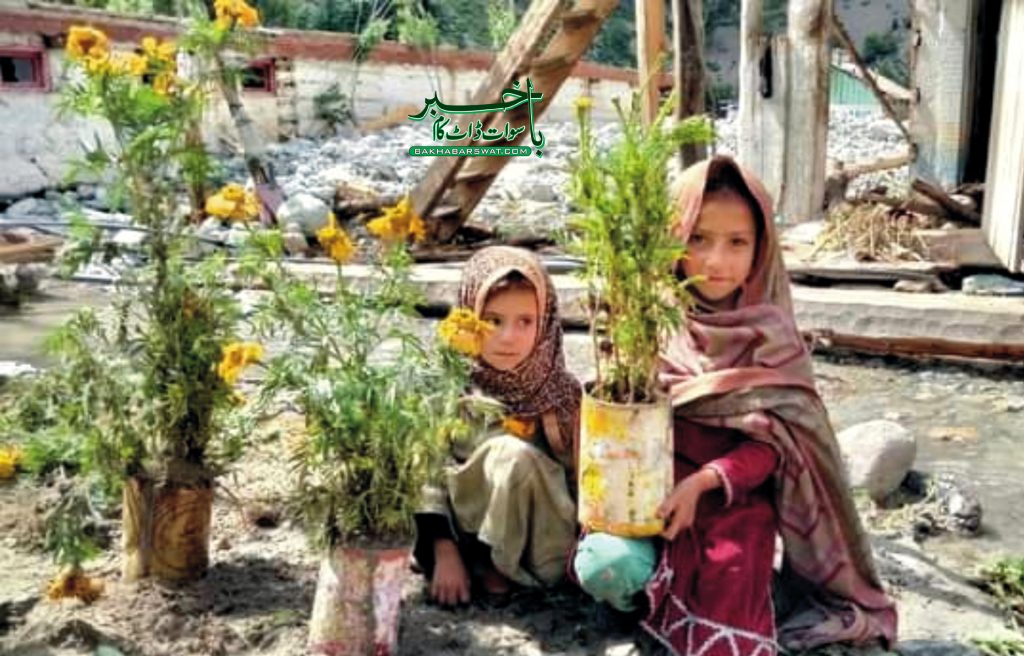 پلوگاہ، معصوم بچیوں کا پھولوں سے پیار، گھر سیلاب کی نذر، گملے بچا لیے