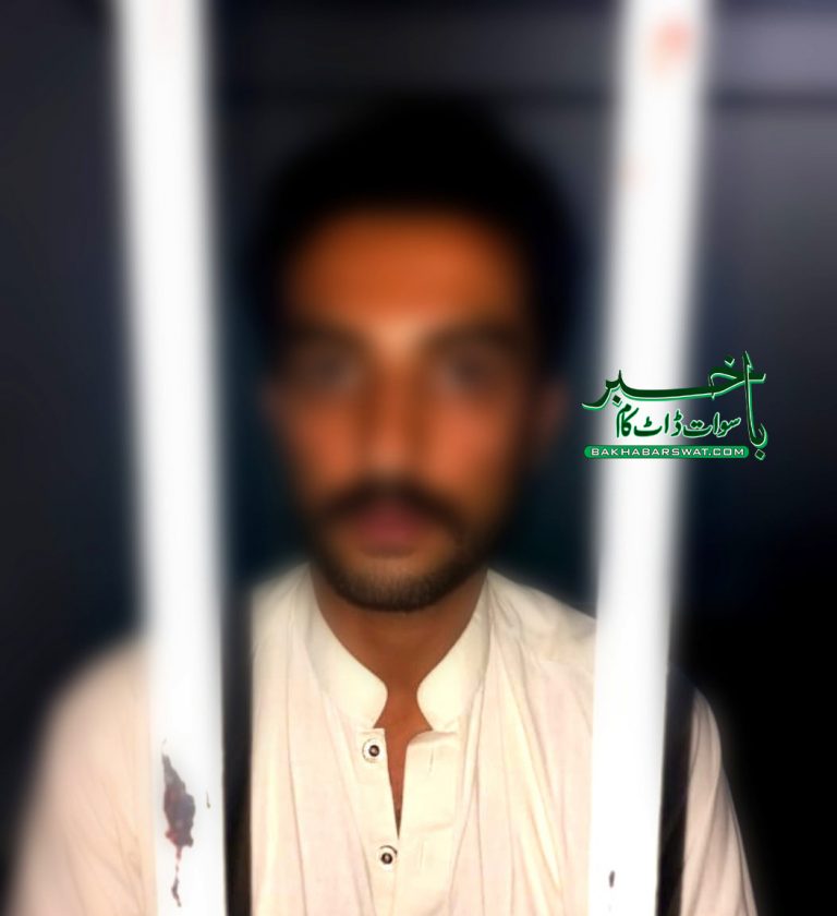 بین الصوبائی سمگلر گرفتار، 6 کلو گرام سے زائد چرس برآمد