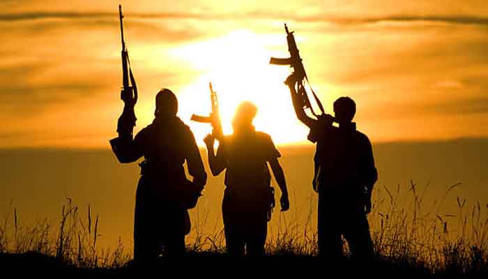 دہشت گردوں کی واپسی، تحقیقات کے لیے جوڈیشل کمیشن بنایا جائے، سردار خان یوسف زئی