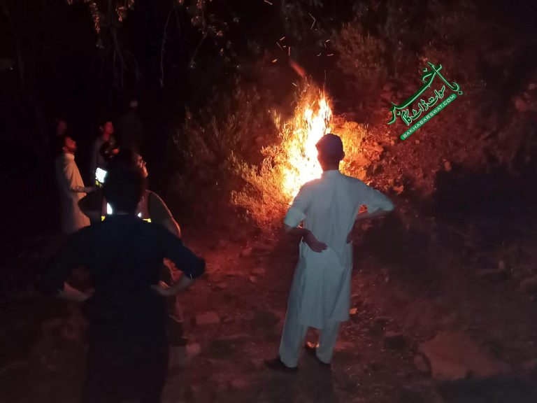 چارباغ،جنگل میں نامعلوم وجوہات کی بنا پر آگ لگی