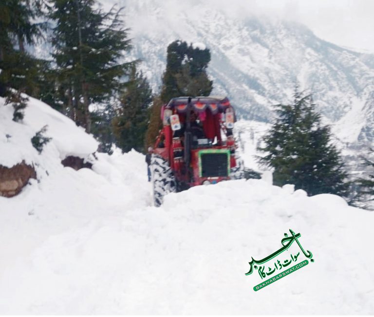 سوات، بارش و برف باری کا سلسلہ جاری، سردی شدید، سیاحوں کی تعداد میں اضافہ