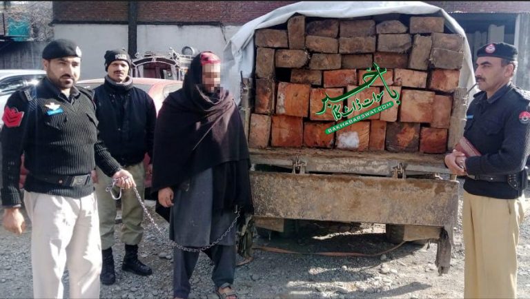 آر پی او ملاکنڈ کے احکامات پر ٹمبر مافیا کے خلاف کارروائیاں جاری