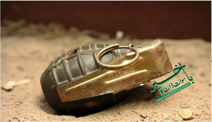 مٹہ نوخارہ، نامعلوم افراد کا ڈی آر سی ممبر کے گھر پر دستی بم سے حملہ