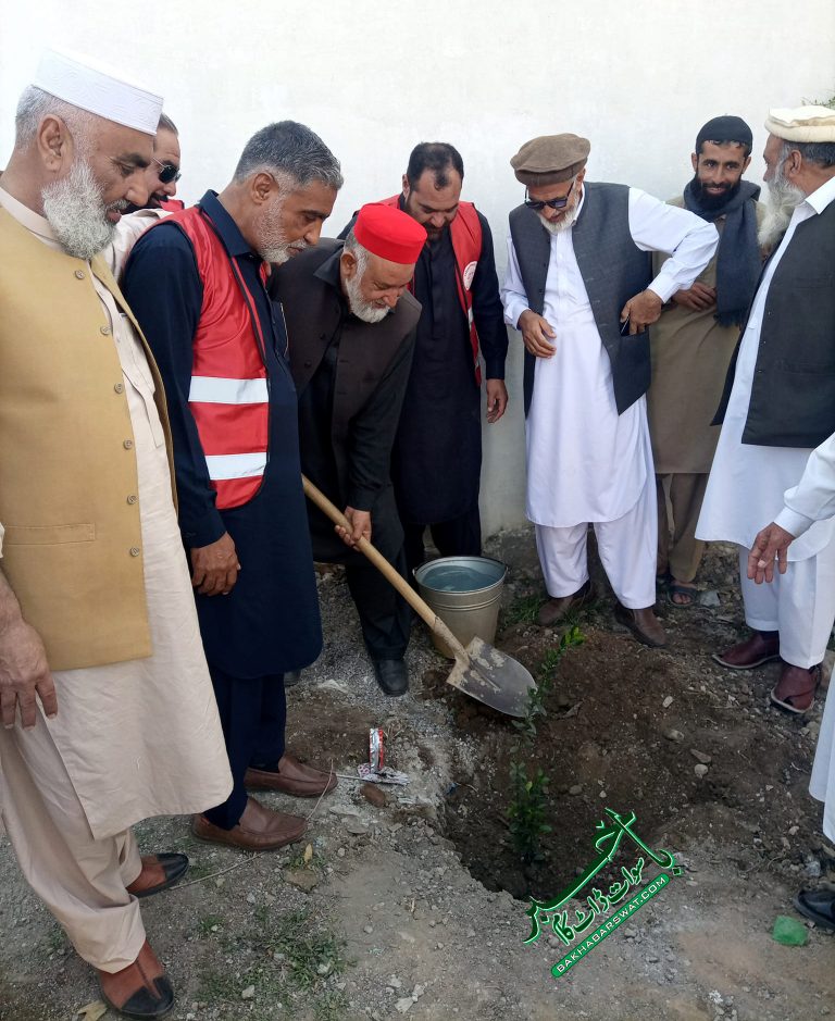 خدائی خدمت گار تنظیم ضلع سوات کا شجرکاری مہم کا آغاز
