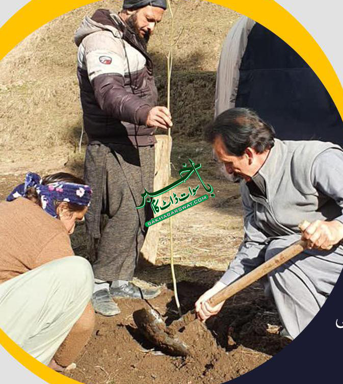 اَپر سوات ڈویلپمنٹ اتھارٹی، گبین جبہ اور کالام میں پودے لگا کر شجر کاری مہم کا افتتاح