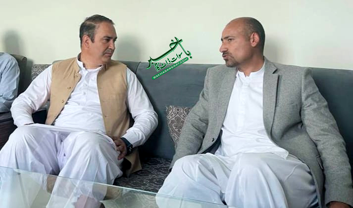 امریکی یونی ورسٹی کے پروفیسر کی گورنمنٹ ہائیر سیکنڈری سکول کشورہ کے پرنسپل ابرار حسین سے ملاقات