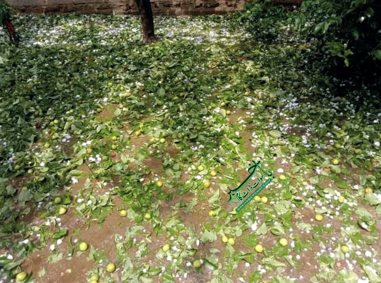 سوات، ماہِ مئی میں برف باری، مختلف علاقوں میں ژالہ باری، فصلیں تباہ