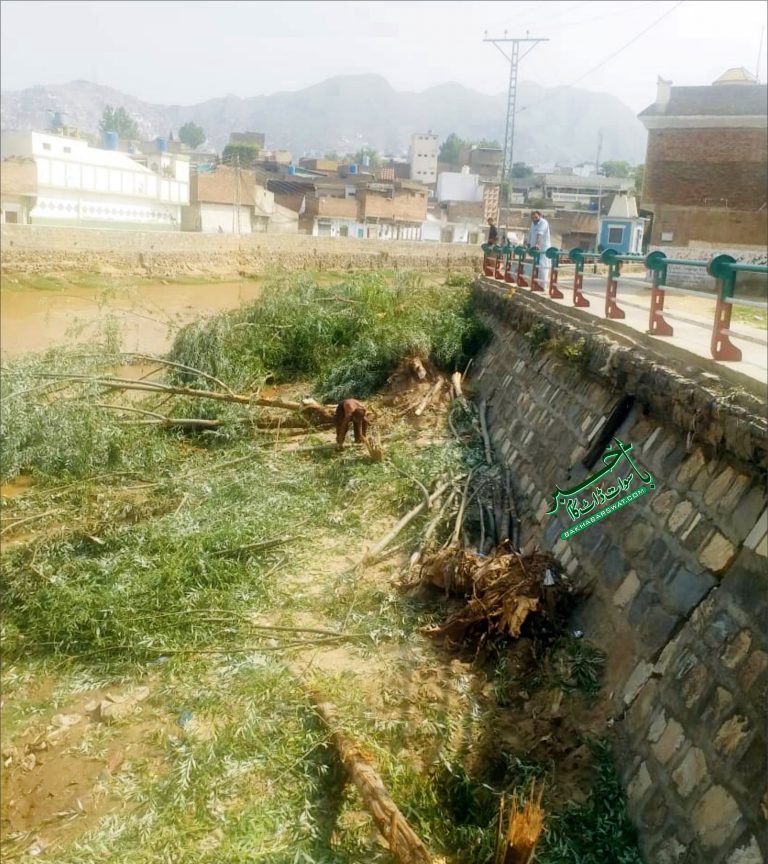 مینگورہ، رات کی تاریکی میں نامعلوم افراد سیکڑوں درخت کاٹ کر لے گئے