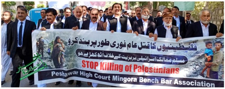 سوات، وکلا کا فلسطین کے حق اور اسرائیل کے خلاف مظاہرہ