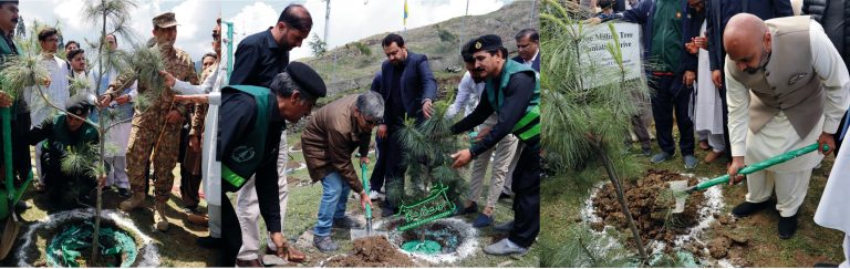 ملم جبہ،شجر کاری مہم کے سلسلے میں تقریب کا اہتمام