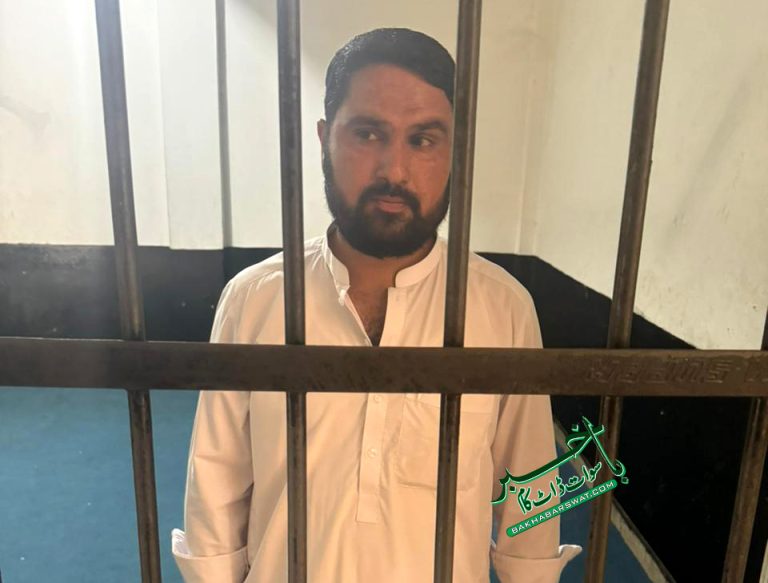 گورنمنٹ پرائمری سکول حاجی بابا مینگورہ، استاد کا طالب علم پر تشدد