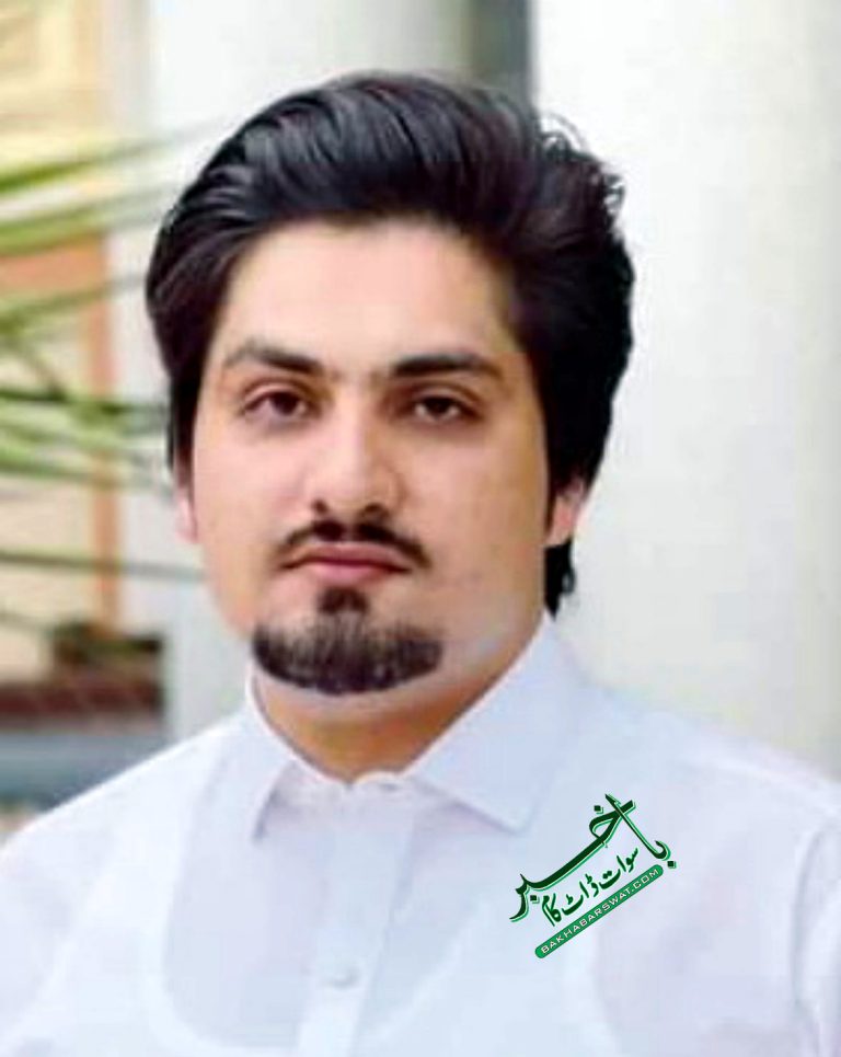 گل کدہ، جائیداد تنازع، ڈاکٹر ملک احمد خان قتل