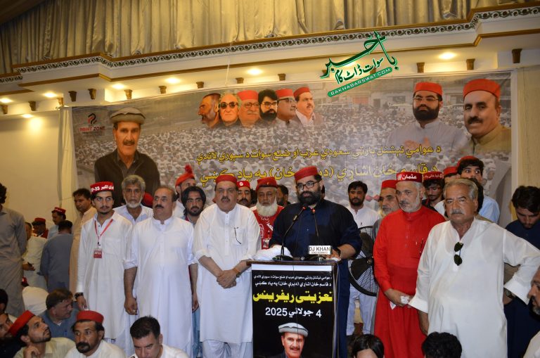 ہم شہیدوں کا دکھ برداشت کرسکتے ہیں، ایمل ولی خان
