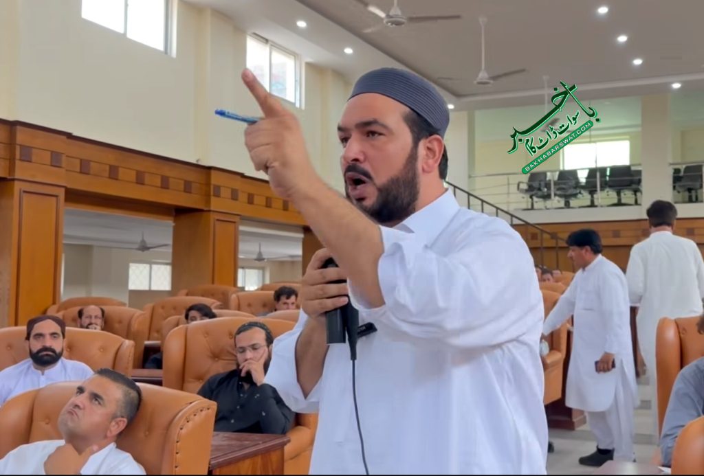 منتخب بلدیاتی نمائندوں کا صوبائی حکومت کے خلاف شدید تحفظات کا اظہار