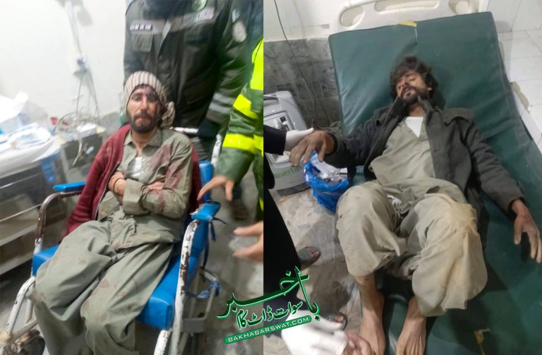 مٹلتان، گاڑی کھائی میں گرنے سے ایک شخص جاں بحق، 6 زخمی